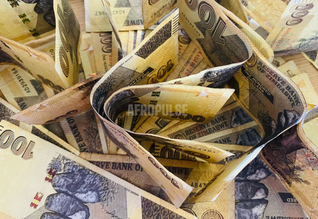 Harare Vendors Shun Bond Notes as New ZiG Dollar Takes Center Stage